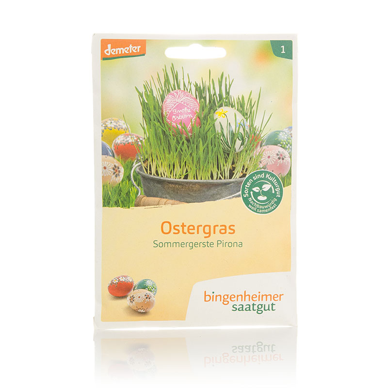 Ostergras Saatgut